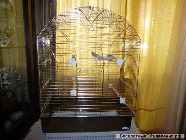 Клетку для попугая