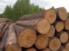 Кругляк сибирской лиственницы на складе в Москве и на заказ