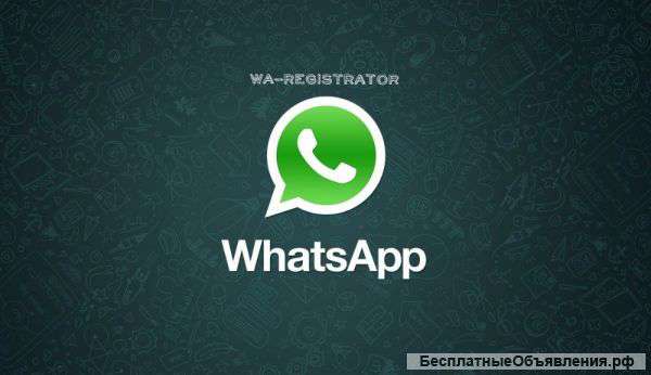 Программа регистрации каналов WhatsApp