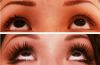 Сыворотка для роста ресниц Lurey Lash MD