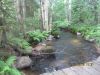 Участок 10 соток. Белоостров, снт им. Луначарского