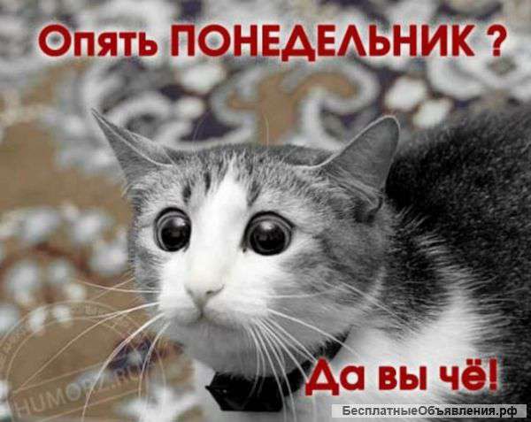 Большие деньги и перспективы