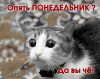 Большие деньги и перспективы