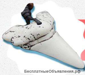 Амулет Зуб Акулы
