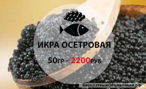 Свежие морепродукты к вашему столу