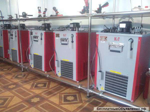 Все для розлива напитков