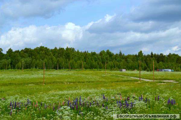 В Лехтуси 6 соток продаю