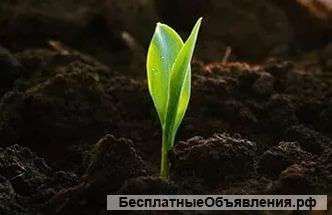 Доставка песка, щебня и чернозема