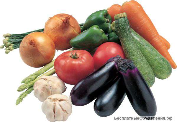 Овощная продукция