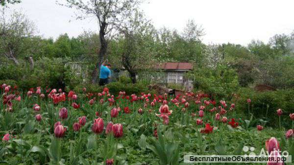Участок 6 сот в черте города. Советский район