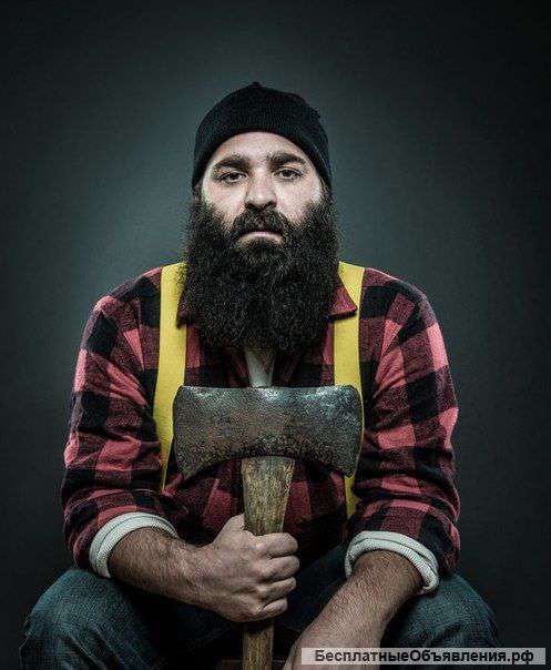 Спил деревьев, кронирование, опиливание в Туле