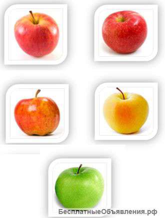 Яблоки