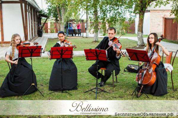 Живая музыка