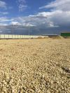 Сдам в аренду земельный участок производственного назначения