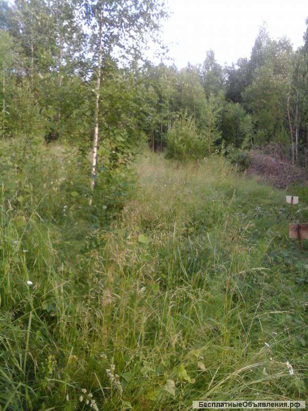 Участок 14 сот., земли поселений (ИЖС), в черте города.