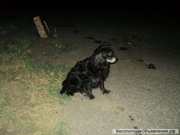 Прошу помощи у всех кто сможет