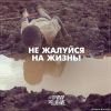 Бизнес-партнер