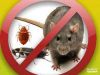 Знаем секрет, как Вас избавить от клопов навсегда