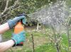 Услуги по опрыскиванию деревьев, кустов, газона лужаек от вредителей