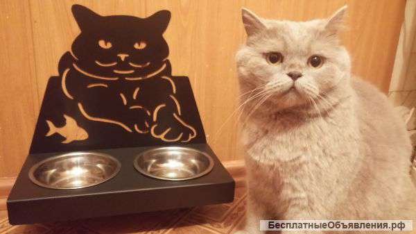 Дизайнерские миски для Ваших питомцев