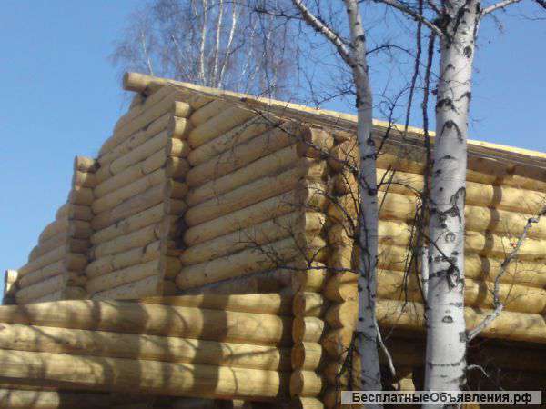 Срубы, дома, бани ручная рубка.