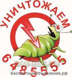 Уничтожение клопов в Истре и в Москве