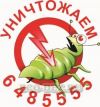 Уничтожение клопов в Истре и в Москве