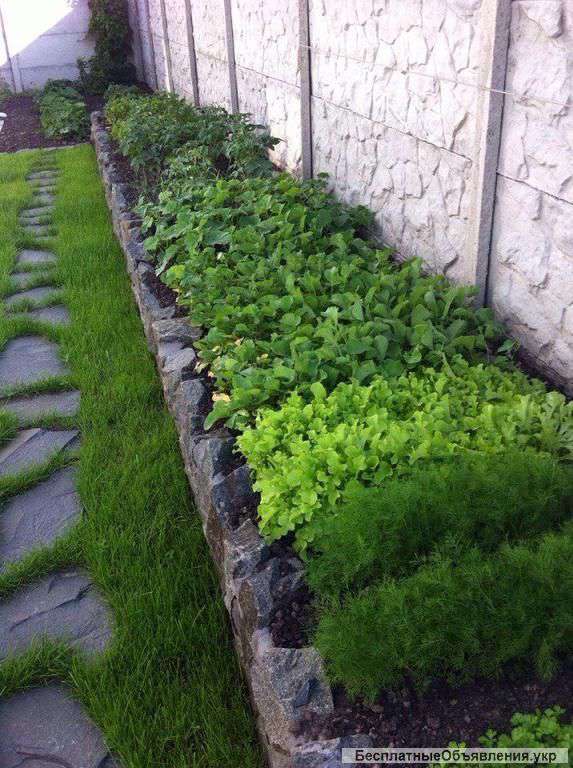 Дома в Петропавловской Борщаговке