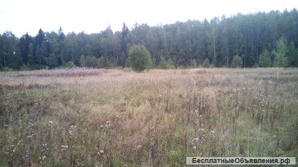 Два смежных земельных участка