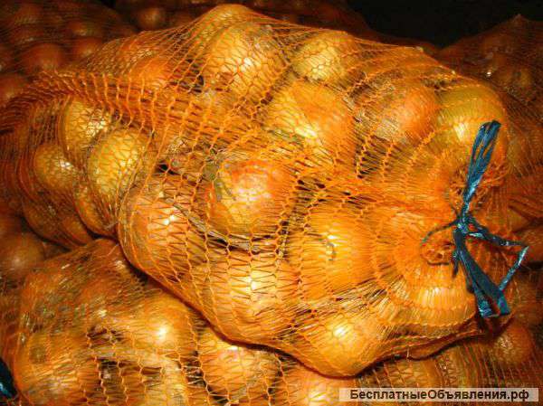 Продаём Лук оптом