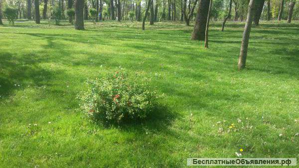 Карьер ГПС. Действующий.