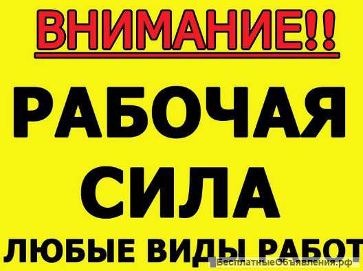 Грузчики