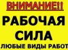 Грузчики