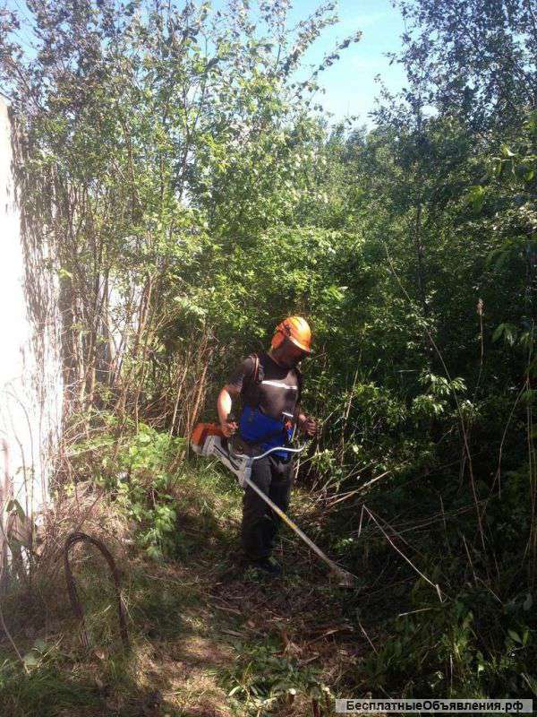 Расчистка дачных участков в Сочи