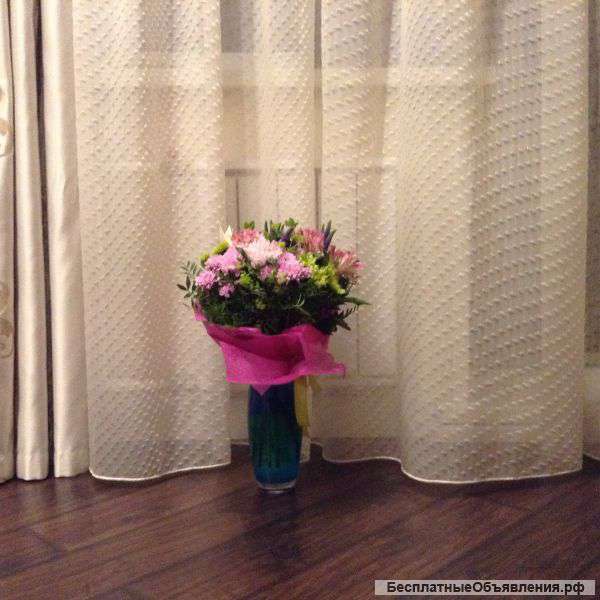 Ищу сиделку с проживанием