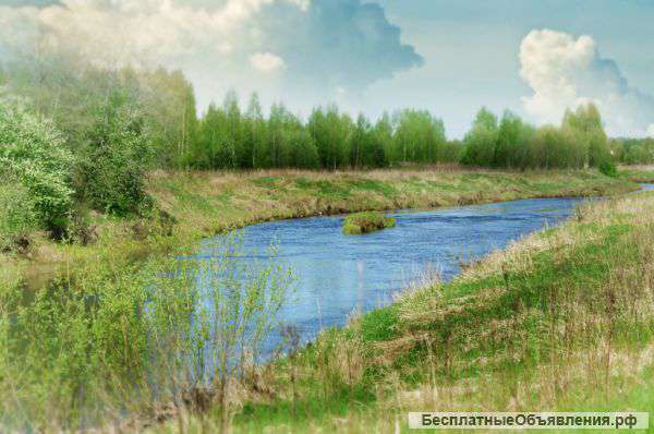 Участок у реки Оредеж