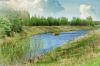 Участок у реки Оредеж