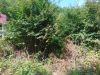 Земельный участок в элитном коттеджном п. Агой