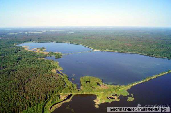 Земельный участок 5,6 Га