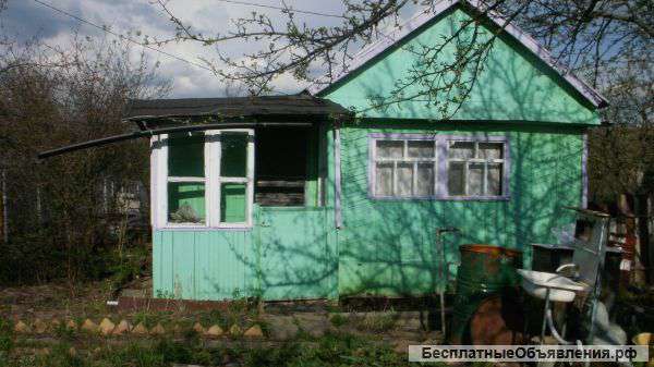 Плодоносящий сад