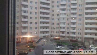 Квартиру в Колпино