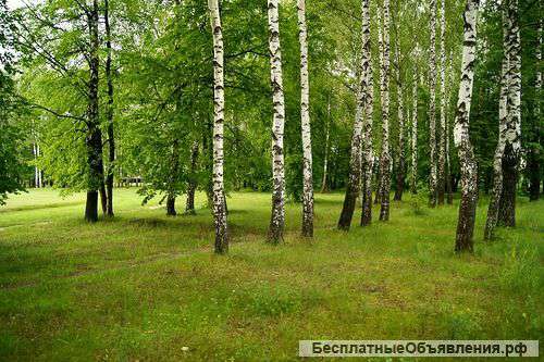 Участок 1 гектар