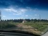 В Кискелово поселке от собственника 6 соток