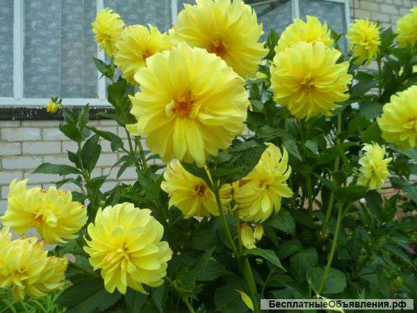 2-х комн. кв-ру