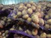 Картофель оптом