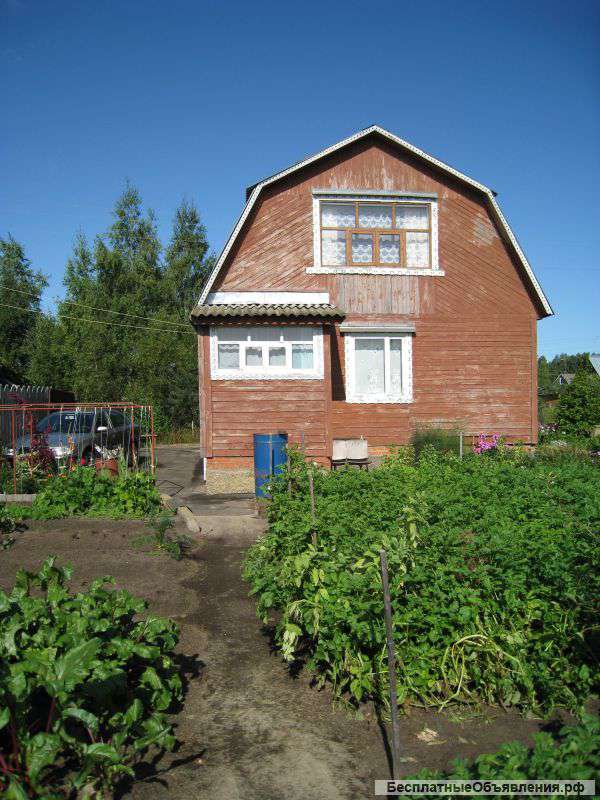 Участок с садовым домиком за городом