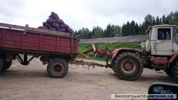 Картофель продовольственный от 20т. КФХ. Все Документы.