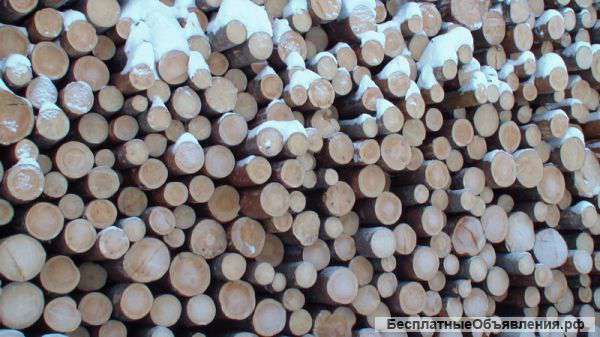 Куплю лесоматериалы сосна