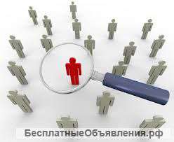Проведение служебных расследований