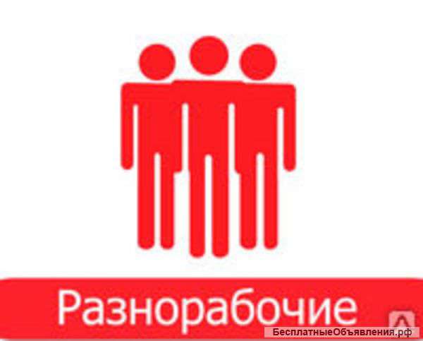 Разнорабочие и грузчики, любые виды работ Москва и Московская обл